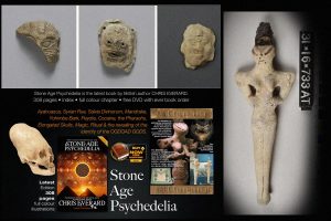 terrapapers.com_lacerta 2