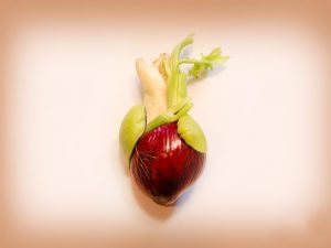 terrapapers.com_vegan_veganism no meat