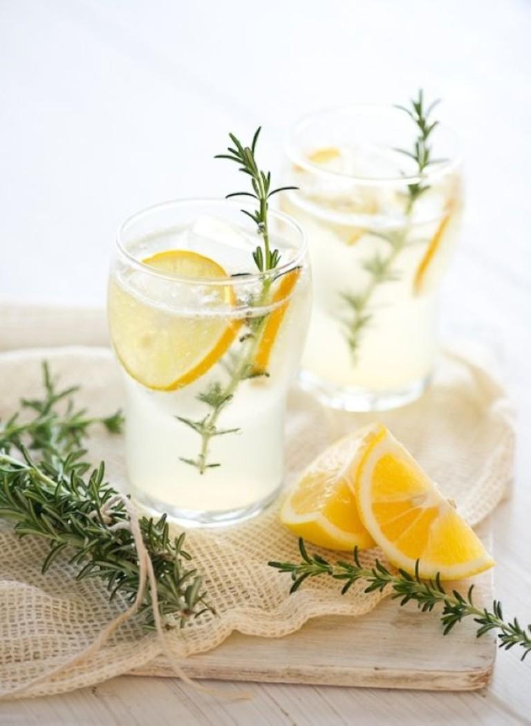 terrapapers.com homemade lemonade (2)