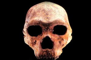 The-Arhanthropos-Petralona - aris poulianos (2)