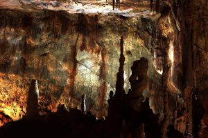 The-Arhanthropos-Petralona - poulianos 9-