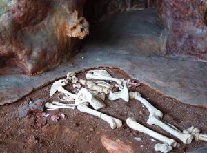 The-cave-of-Petralona-1