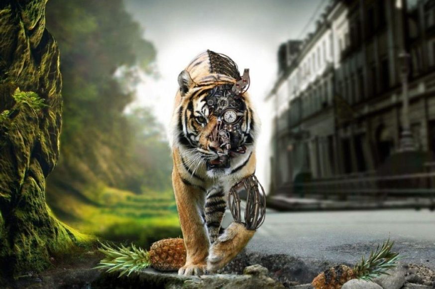 Α brave smart world