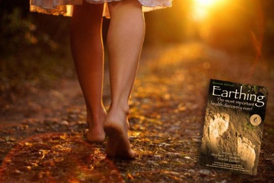 Earthing (γείωση)