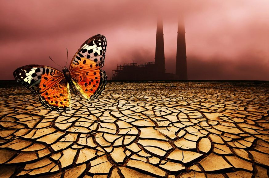 Θεραπεία με Οργονοσυσσωρευτή