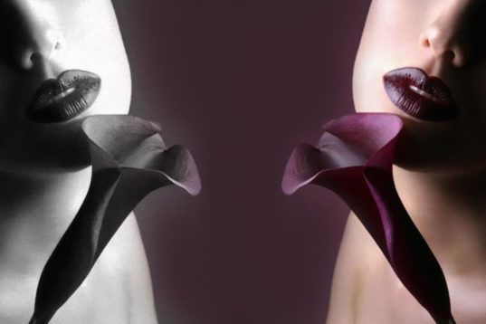 Wilhelm Reich: Η Λειτουργία του Οργασμού