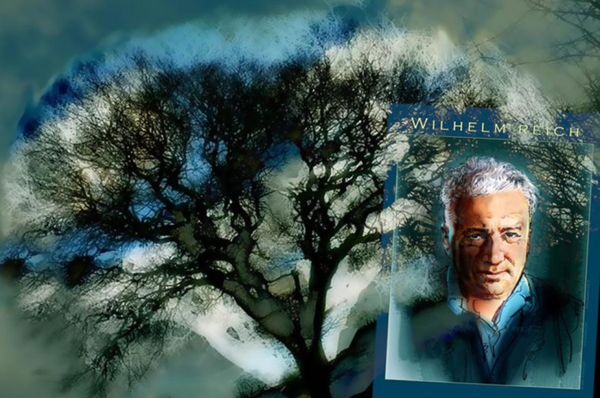 Ο παράξενος κύριος Wilhelm Reich
