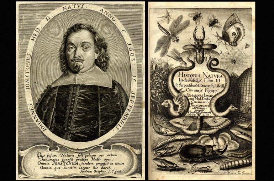 Serpentibus και Draconibus 1653