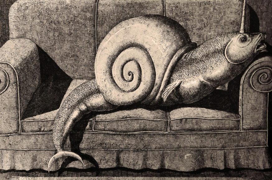 Domenico Gnoli: Bestiario Moderno