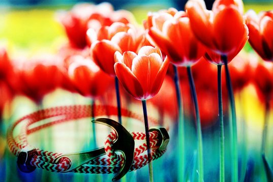 Η Μαγική Πρωτομαρτιά