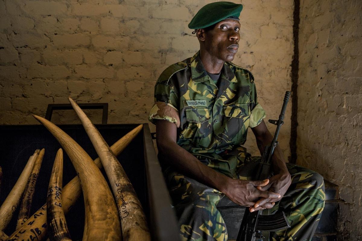 terrapapers.com_The Beast Leopold II of Belgium in CONGO C