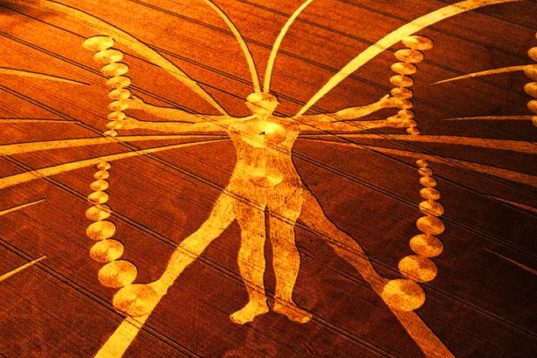 Αγρογλυφικά: Παράξενα & Μυστηριώδη