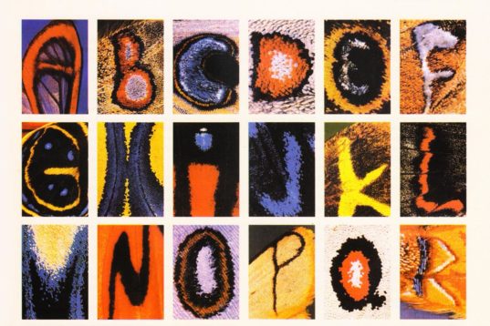 Παραξενιές στα Φτερά των Πεταλούδων