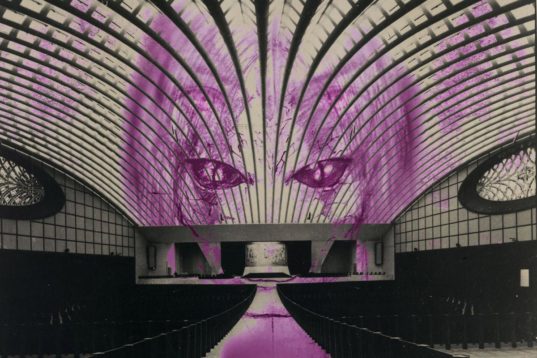 Λατρεύοντας τα Ερπετά