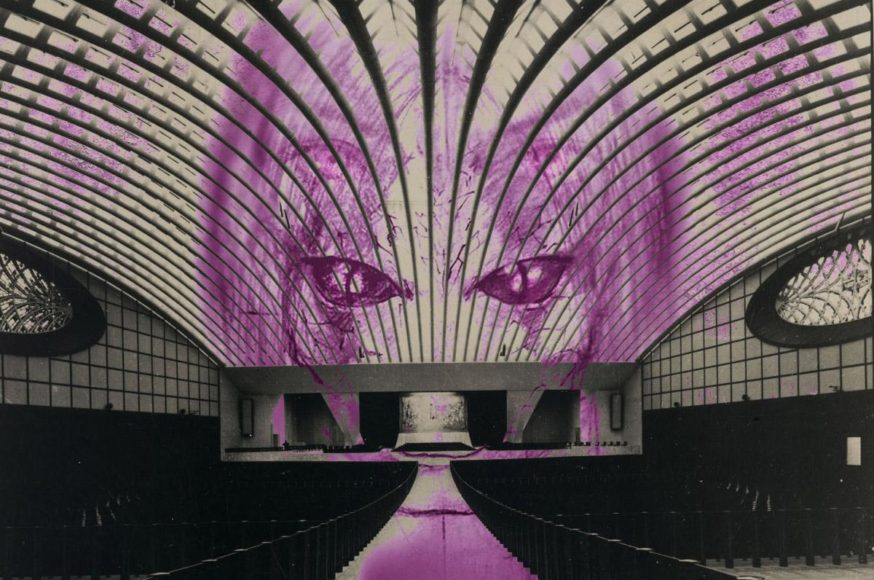 Λατρεύοντας τα Ερπετά