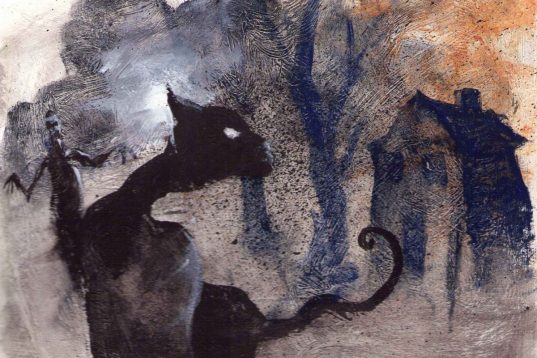 «Κομψών Αιλούρων Τάξις» «Κομψών Αιλούρων Τάξις»