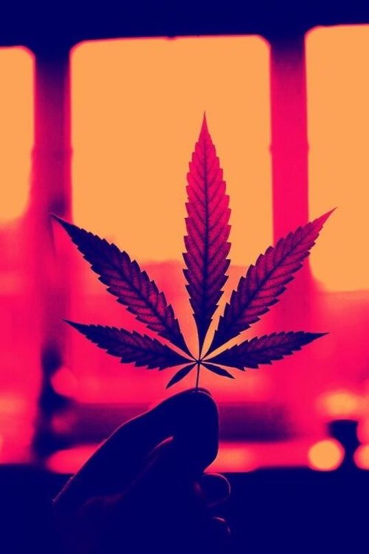 Νομιμοποιήστε την κάνναβη