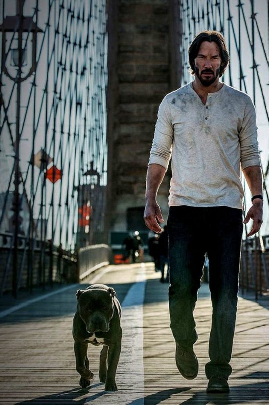 Ανθρωπος σημαίνει Βροτός