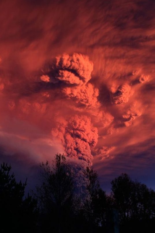 Άγρια ομορφιά Άγρια ομορφιά