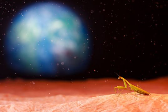 Το παράξενο σύμπαν