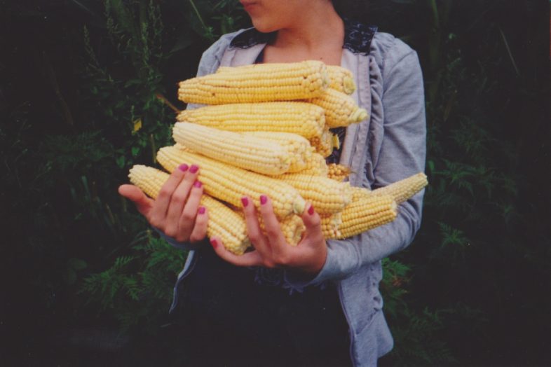 Τροφή ως Φάρμακο μια Ψεύτικη Ατζέντα