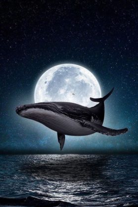 Γιατί οι Σοβιετικοί θανάτωσαν 180.000 φάλαινες