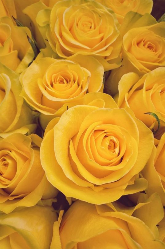 Για την Κατάκτηση της Ευδαιμονίας