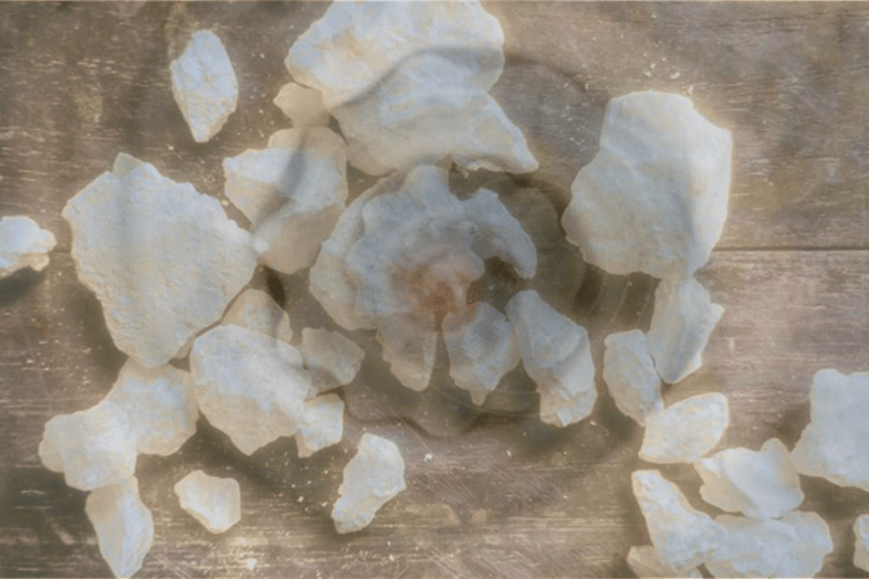 Η Μεγάλη Συνομωσία του Βόρακα