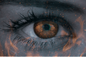 Η Γλώσσα του Βλέμματος